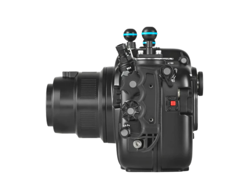 노티캠 캐논 Canon EOS R3 하우징 (NA-R3) (# 17336)